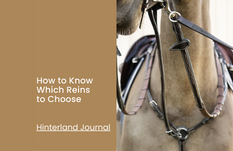 How to Know Which Reins to Choose? | Hinterland Journal