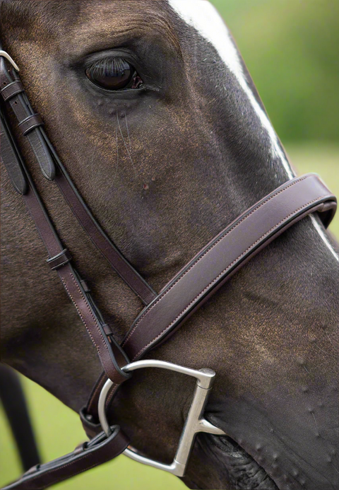 Show Hunter Bridle