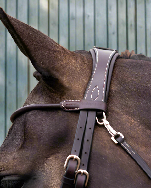 Your Hardest Worker Bridle