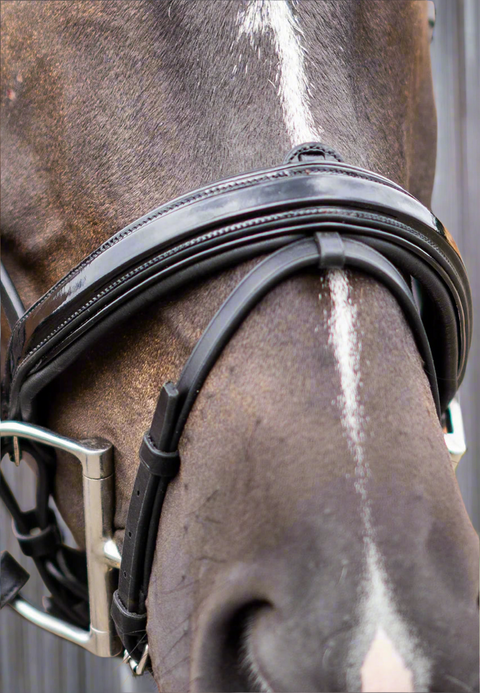 Ultimate Dressage Bridle Limited Edition