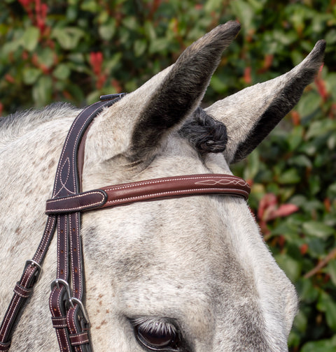 Meadows Bridle