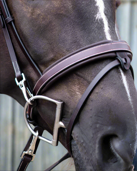 Your Hardest Worker Bridle