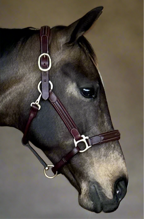 Meadows Star Comfort Halter