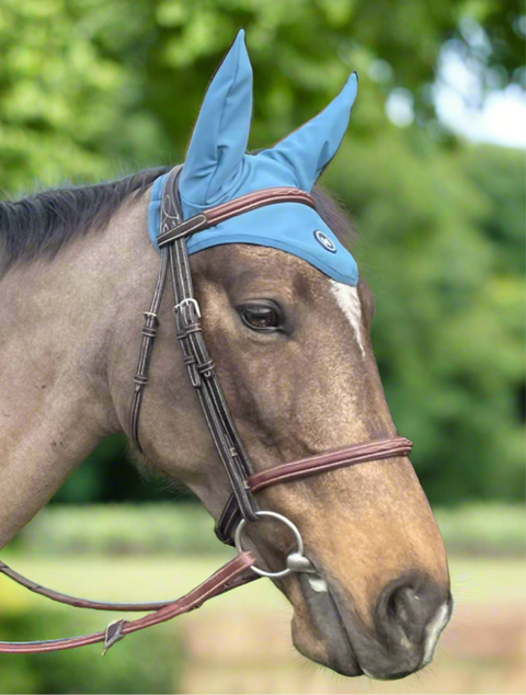 Ear Bonnet