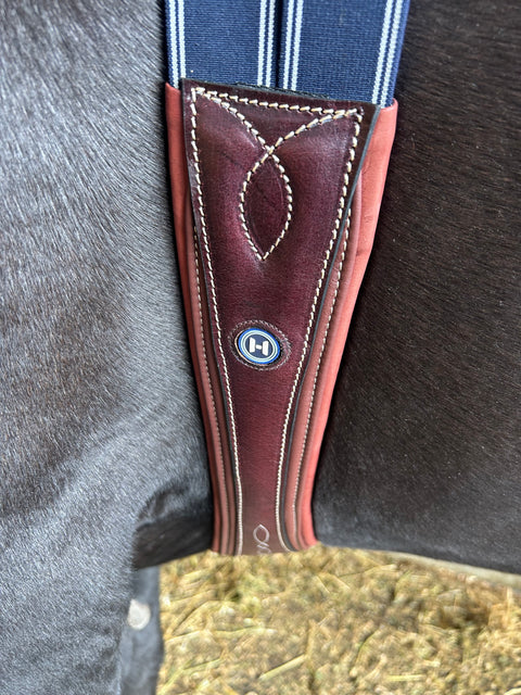 Anatomic Overlay Long Girth