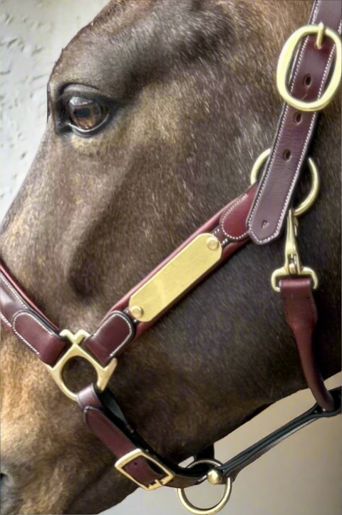 Meadows Star Comfort Halter