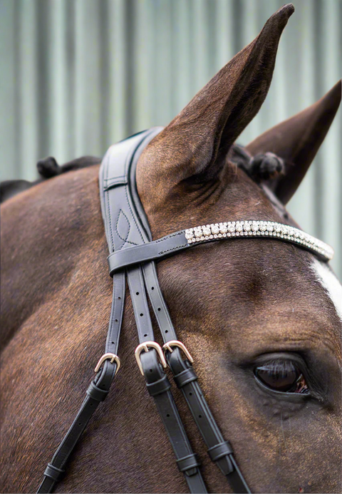 Ultimate Dressage Bridle Limited Edition