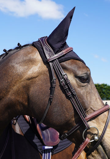 Ear Bonnet