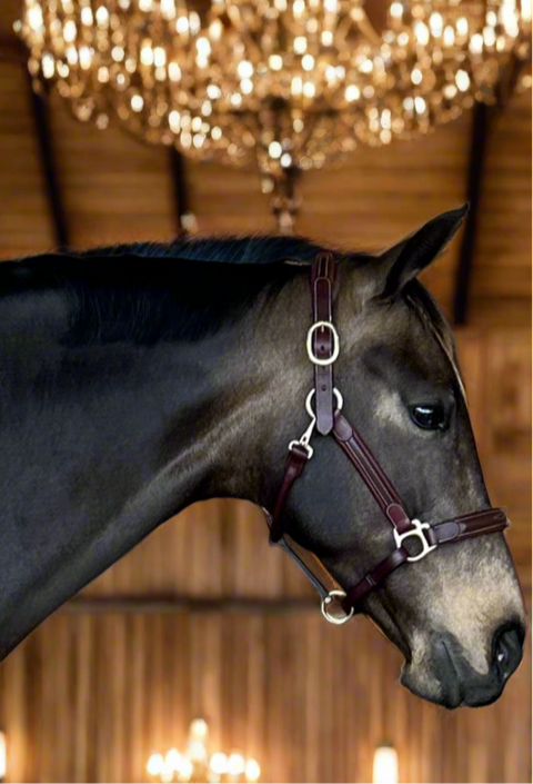 Meadows Star Comfort Halter