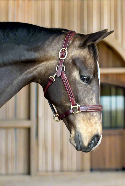 Meadows Star Comfort Halter