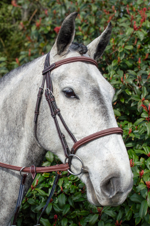 Meadows Bridle