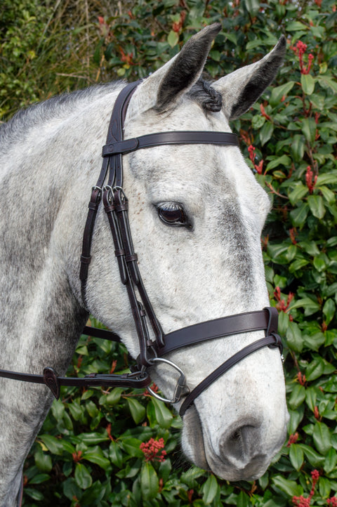 Show Me! Show Bridle