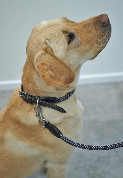 Rope Collar