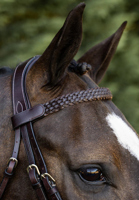Braided Browband