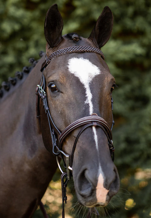 Braided Browband