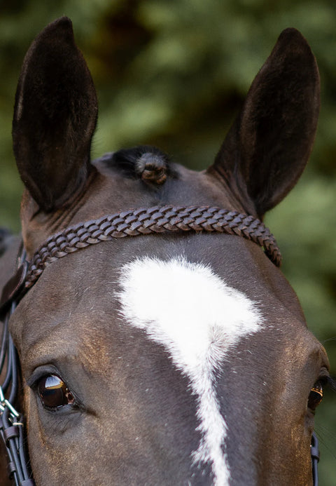 Braided Browband