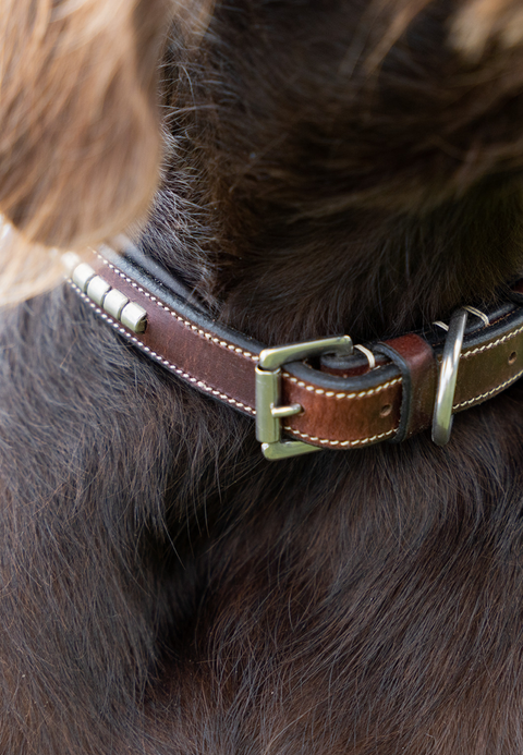 Clincher Collar