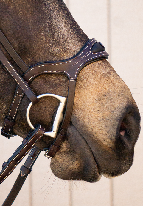 Completely Contoured Noseband