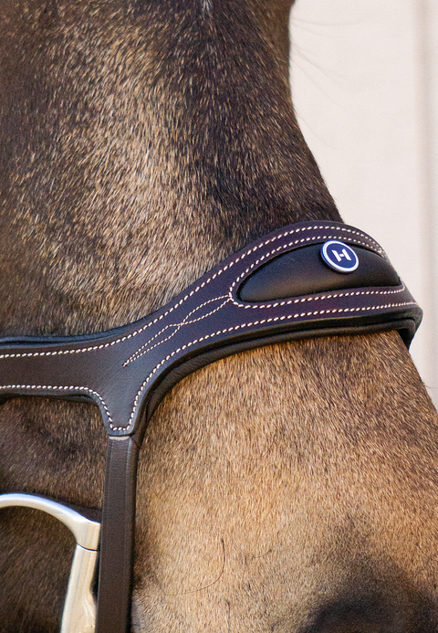 Completely Contoured Noseband