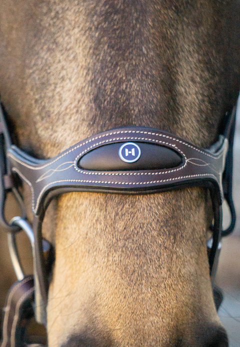 Completely Contoured Noseband