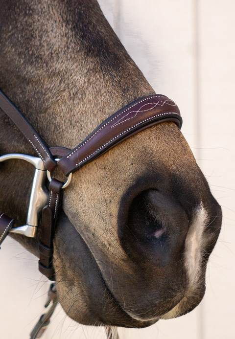 Drop Noseband