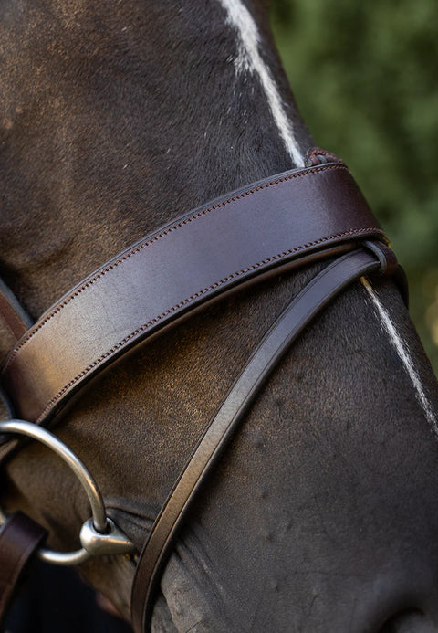 Flash Strap and Attachment