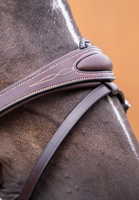 Flash Strap and Attachment