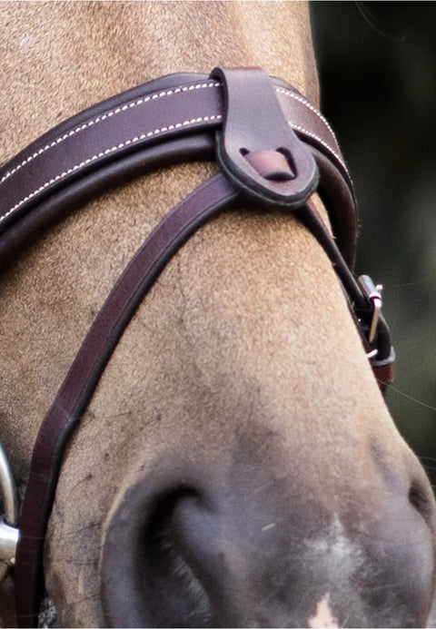 Flash Strap and Attachment