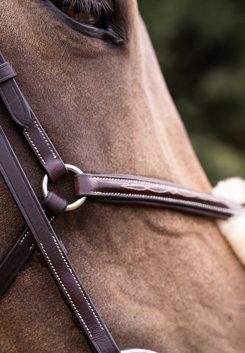 Grakle Bridle