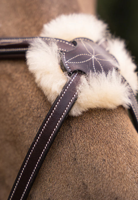 Grakle Bridle