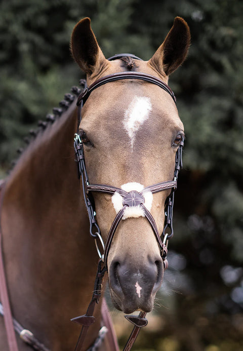 Grakle Bridle