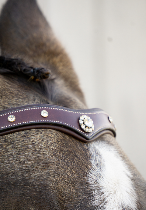 Lone Star Browband