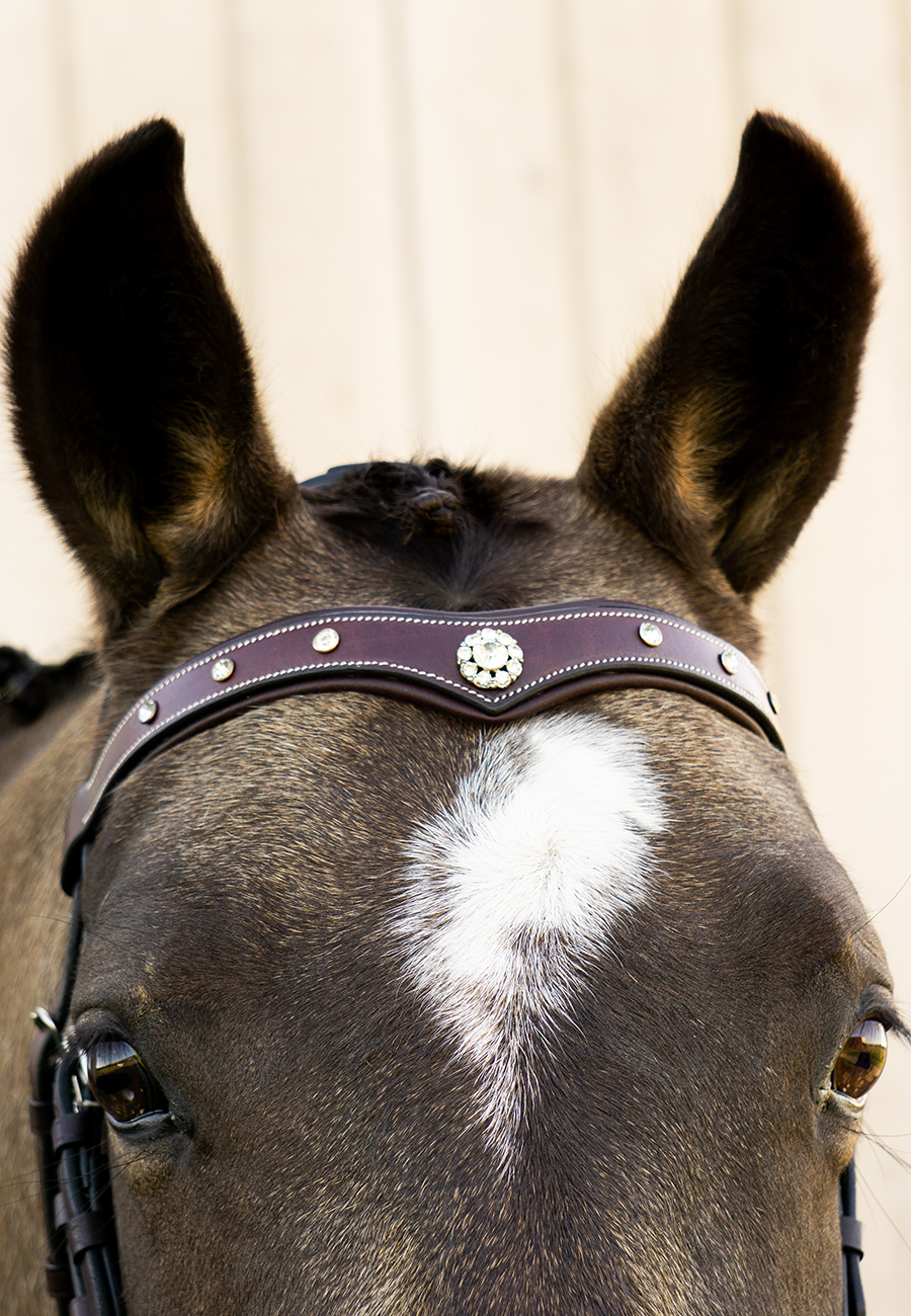 Stud Crystal Rivet Décor Straight Leather Browband For Horse Bridle In Stud Crystal Rivet Décor Straight Leather Browband For Horse Bridle In