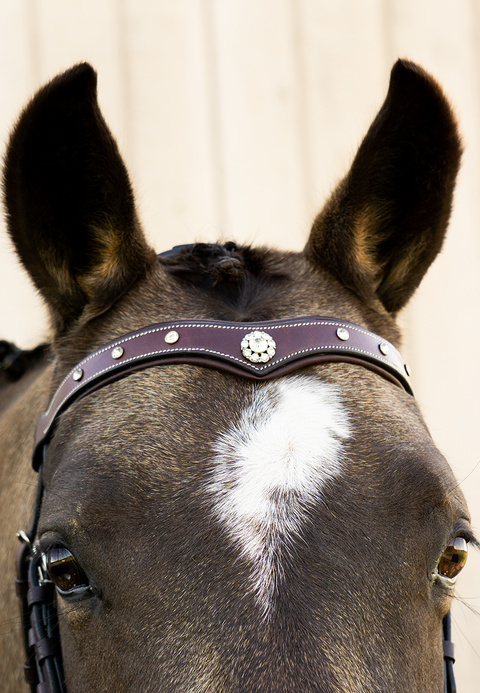 Lone Star Browband