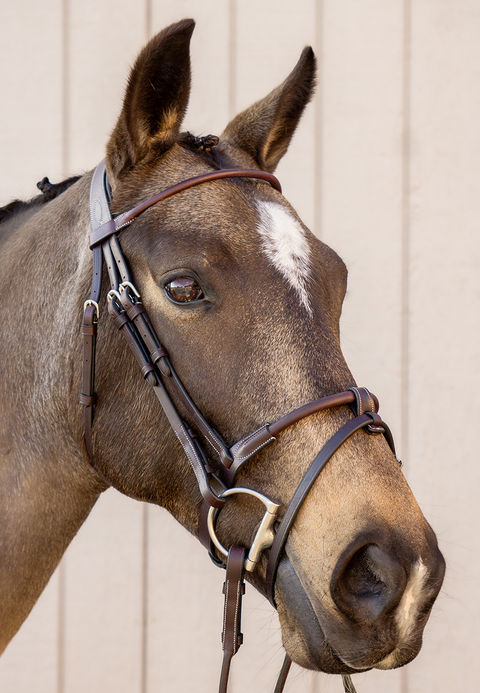 Rock n Roll Bridle