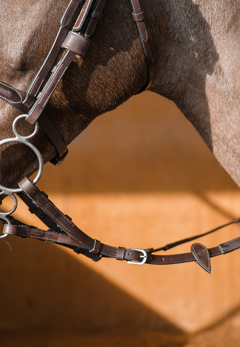 Forked / Split Reins