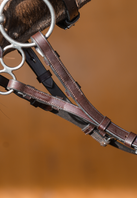 Forked / Split Reins