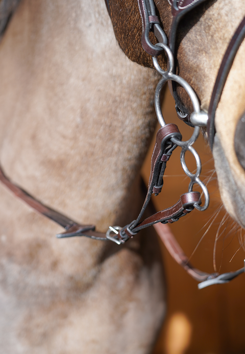 Forked / Split Reins