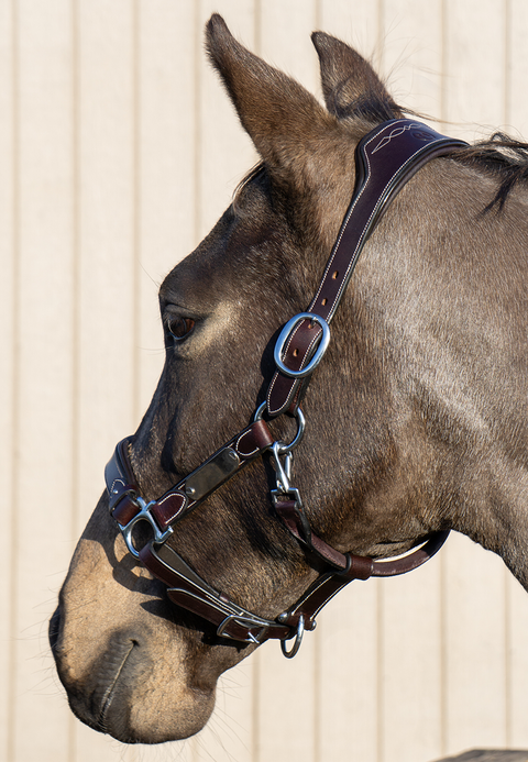 Stable Star Comfort Halter