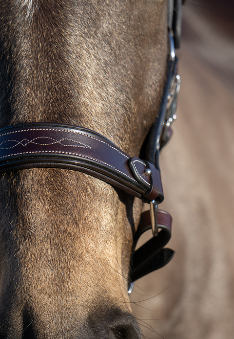 Stable Star Comfort Halter