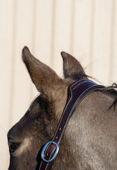 Stable Star Comfort Halter