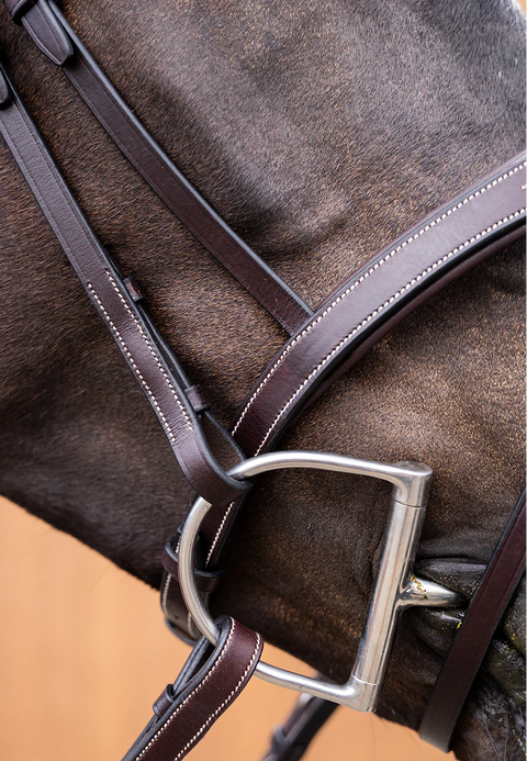 Ultimate Comfort Bridle