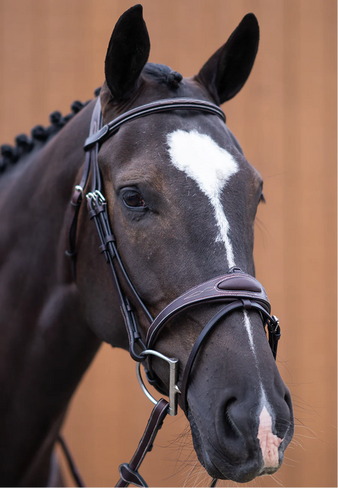 Ultimate Comfort Bridle