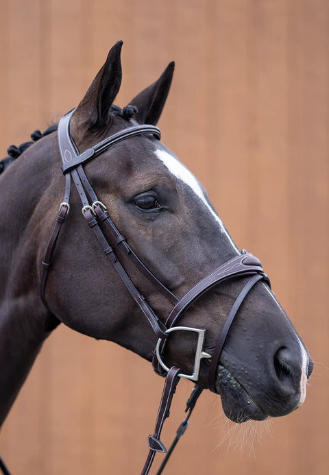 Ultimate Comfort Bridle