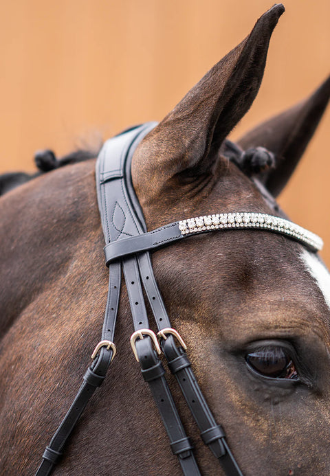 Ultimate Dressage Bridle Limited Edition