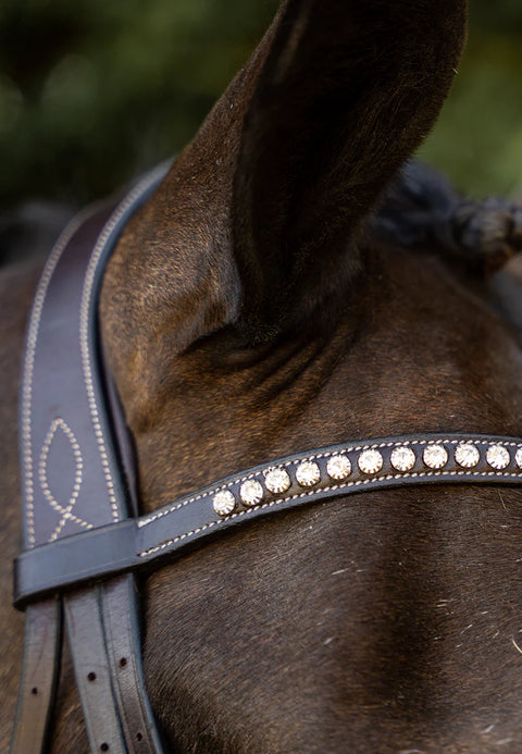 New Wave Browband