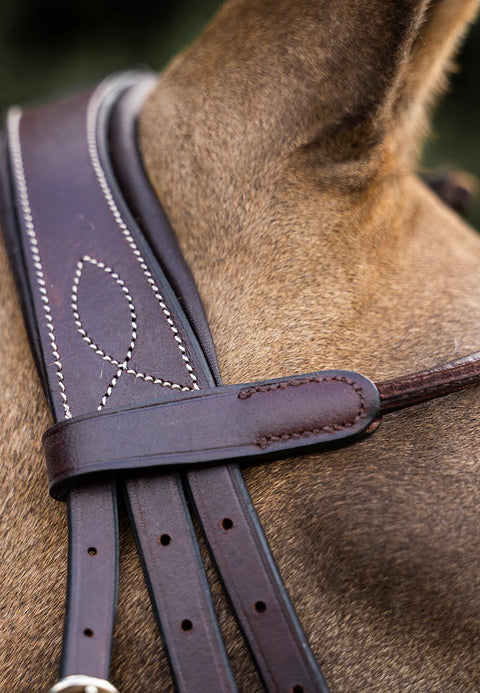 YHW Classic Bridle