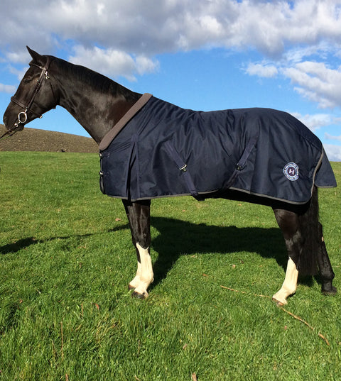 Padded Stable Rug