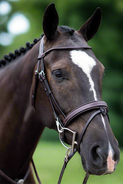 OULET BRIDLES