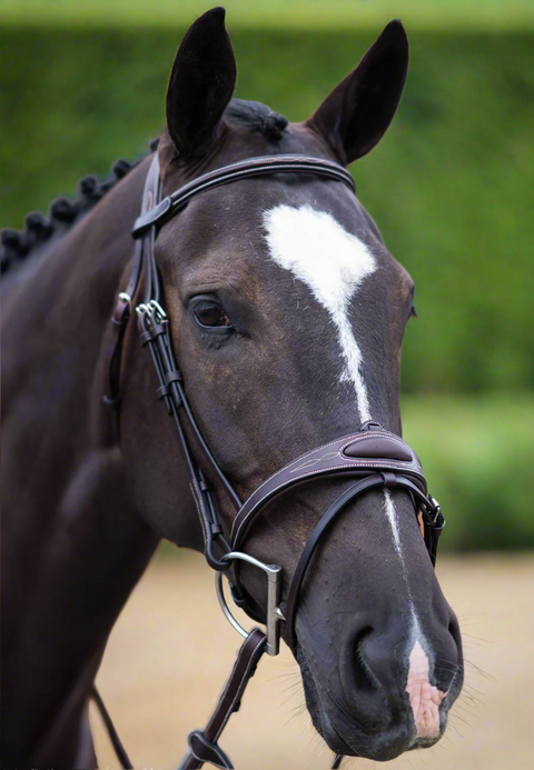 Ultimate Comfort Bridle